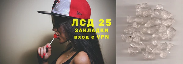 ПСИЛОЦИБИНОВЫЕ ГРИБЫ Медвежьегорск