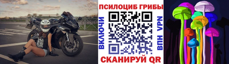 Псилоцибиновые грибы прущие грибы  Краснодар 