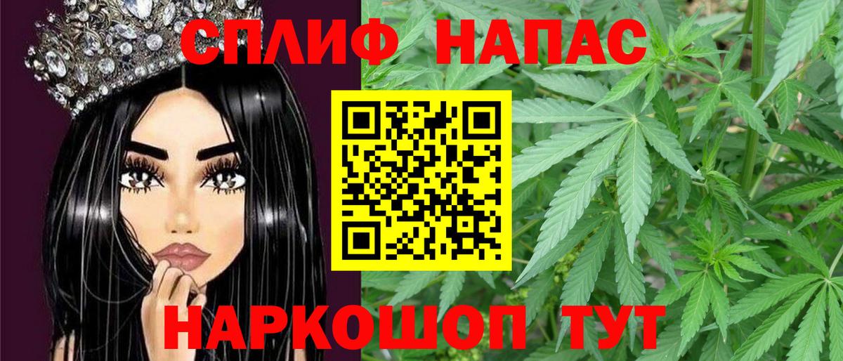 Канабис семена Краснодар